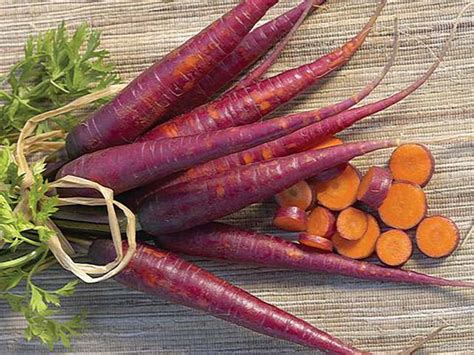 Rainbow Carrot Mix Seven Fancy Heirlooms 350 Seeds Spring Etsy