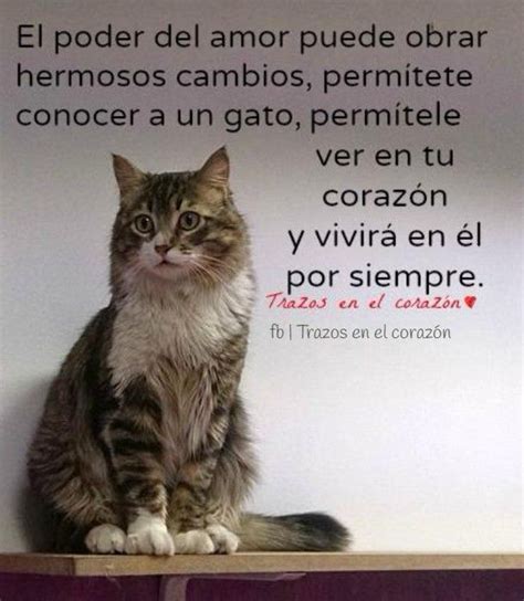 We did not find results for: El poder del amor puede obrar hermosos cambios, permítete ...