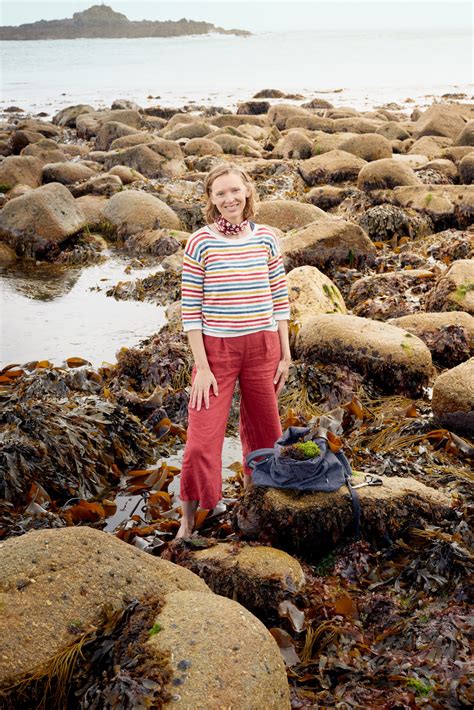 A Guide To Seaweed Foraging Wild Walks Southwest
