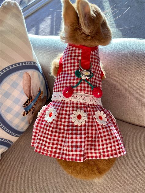 Bunny Harness Cherry Dress For Rabbit Small Pet Rabbit Clothes Etsy