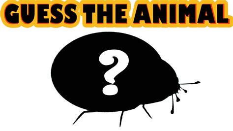 Can You Guess The Animal Quiz3 Guess The Animals Shadow Animal