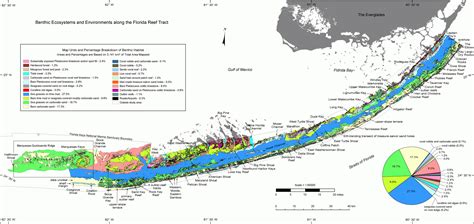 Florida Reef Map Printable Maps