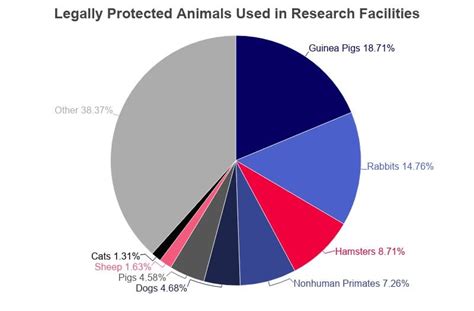 Animal Testing Statistics 2021 Facts And Trends By Year Rvegan