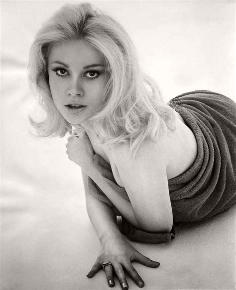 Top 20 Hottest Hollywood Actresses Of The 1960s In Bandw Monovisions Black And White Photography