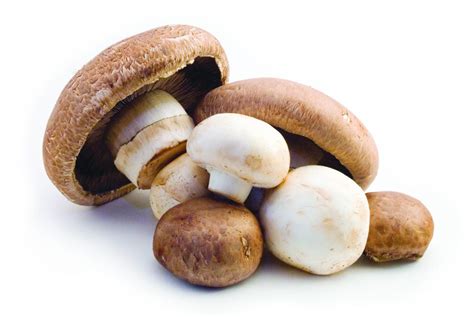 Just Add Mushrooms Making Meals More Nutriti Eurekalert