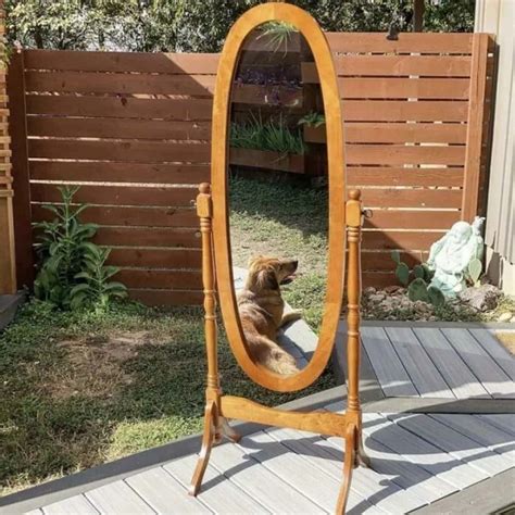 Photos Of Mirrors That People Tried To Sell Showed The Most Hilarious Reflections