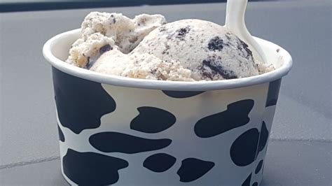 Scoop Du Jour Ice Creamery Photos Reviews Yelp
