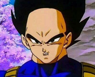 A brief description of the dragon ball manga: Does vegeta forehead hold power? | DragonBallZ Amino