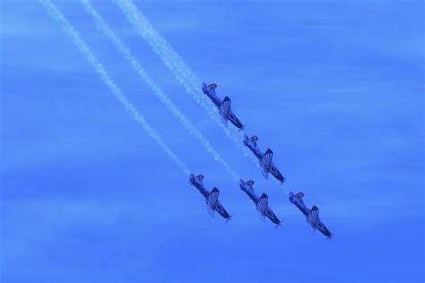 Silver Falcons In The Air Free Stock Photo Public Domain Pictures
