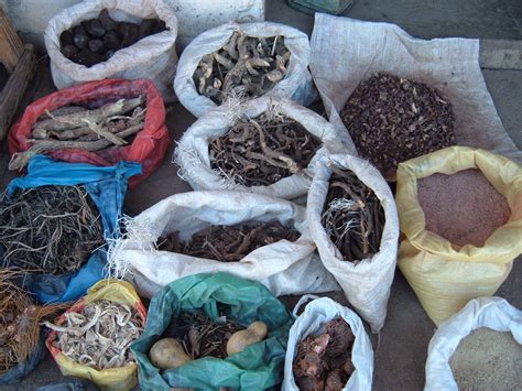 Holistic Approach To Health Traditional African Medicine In Nigeria