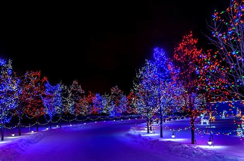 Lighted Trees For Christmas Hd Wallpaper Background Image 3000x1982