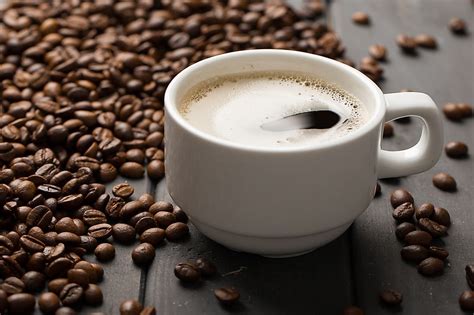 The Most Expensive Cups Of Coffee In The World