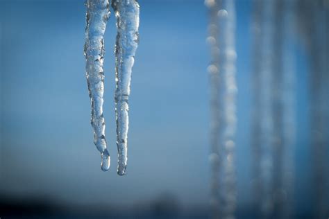 Winters Fangs Icicles Image Pops Digital