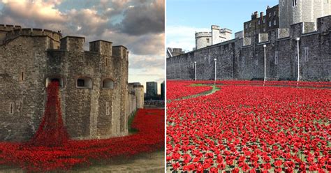 888246 Poppies Pour Like A River Of Blood From The Tower