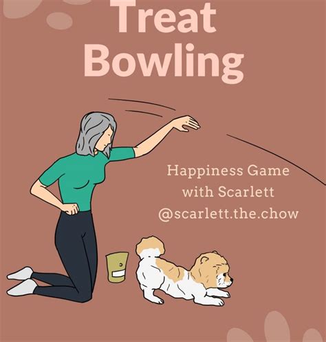 Treat Bowling Diy Games For Dogs Bounce And Bella
