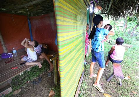 mayon affected families get p12k each from dswd manila times news sendstory philippines