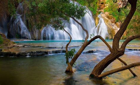 We did not find results for: Free Beautiful Nature Wallpapers - Wallpaper Cave