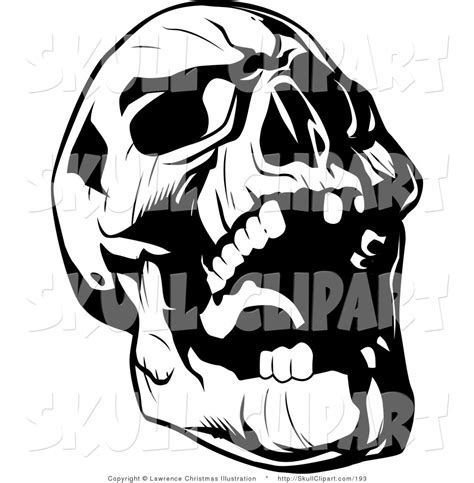 Illustration of black and white human skull with a lower jaw. Vector Clip Art of a Black and White Evil Skull Tilting ...