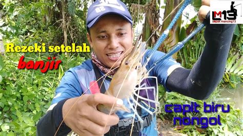 Mancing udang sungai (udang galah) sungai katingan, kali ini diguyur tarikan keras udang galah super menarik joranku saat akan pindah ke spot berikut, tidak di sangka udang galah ukuran sangat. Mancing udang galah setelah banjir besar || strike sicapit ...