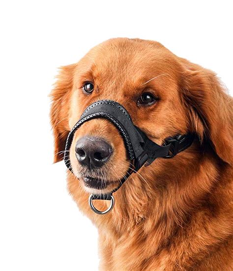 Dogit Nylon Dog Muzzle Black Xl Petland Rockford