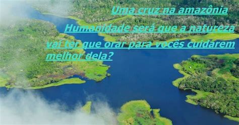 Frases Realidades E Poesias Sos Amazônia