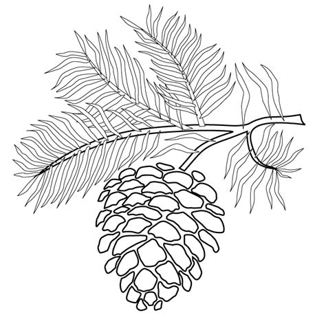 Pine Cone Line Drawing At Getdrawings Pine Cone Drawing Easy