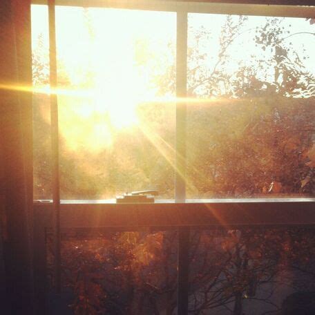 Light rays shining through window in jail. Why you can't absorb vitamin D through a sunny window - PRO-D