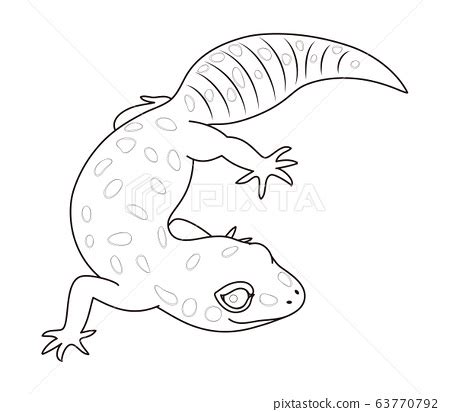 Find & download free graphic resources for leopard gecko. Leopard gecko character illustration coloring page - Stock ...