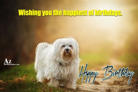 Birthday Wishes With Dog Birthday Images Pictures