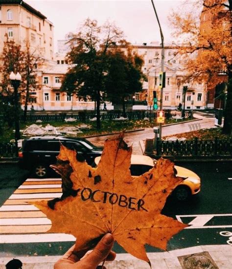 Vsco Ivefallenforyou Fall Pictures Autumn Aesthetic Autumn