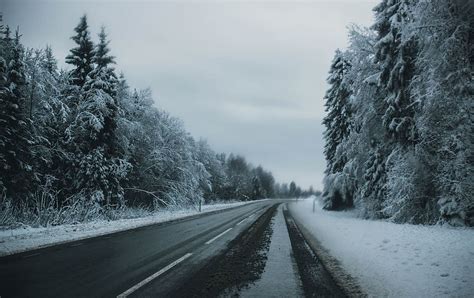 Gray Pave Road Tall Trees Covered Snow Asphalt Piqsels