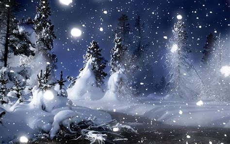 Hd A Magical Winter Night Wallpaper Download Free 58337