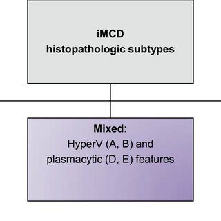 Three Major Histopathologic Subtypes Proposed By The New Consensus Download Scientific Diagram
