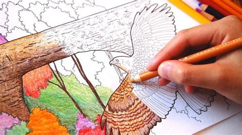 Display your spirit with officially licensed kentucky office supplies, home furnishings, and more from the ultimate sports store. Download a Kentucky-themed coloring book | Lexington ...