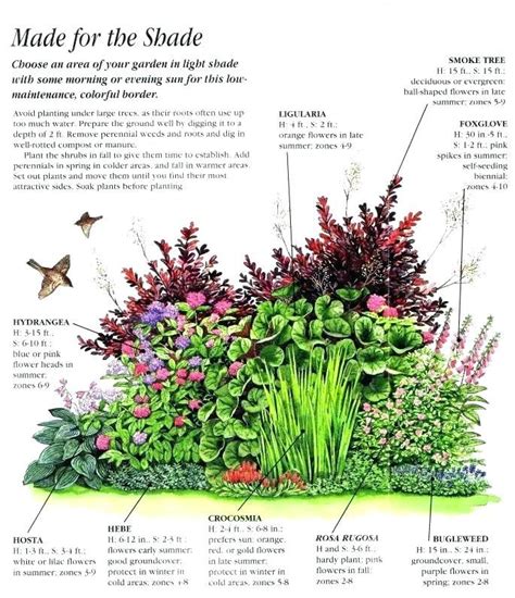 Gardens and landscaping / backyards, shrubs. foundation garden plans sun garden plans full sun ...