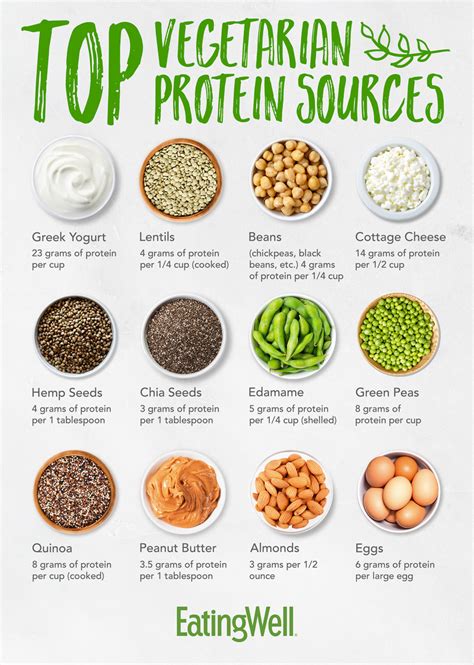 The Most Shared Protein Food For Vegetarian Of All Time Easy Recipes
