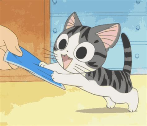 38 Kawaii Cat Gif Pfp Background Anime Images