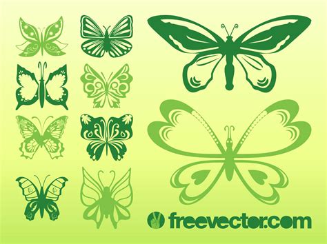 Butterflies Vectors Collection Vector Art And Graphics