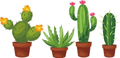 Planting Clipart Cactus Planting Cactus Transparent Free For Download