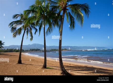 Haleiwa Beach Park North Shore Oahu Hawaii Stock Photo Alamy