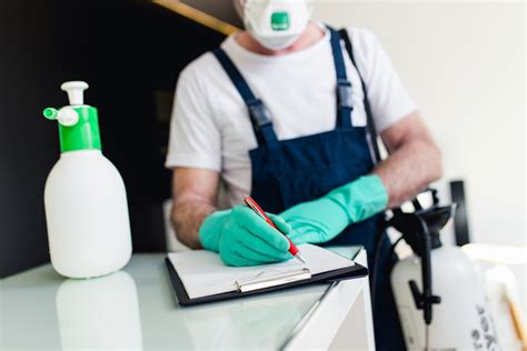 How Much Does Pest Control Cost 2020 Guide To Pricing