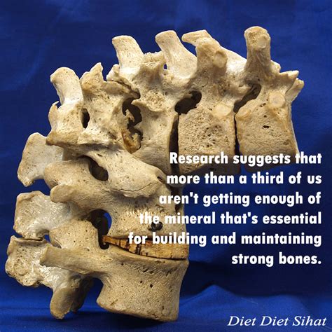 Kelainan tulang belakang adalah kondisi dimana tulang belakang mengalami kelengkungan yang tidak normal. Cara Atasi Masalah Bongkok Tulang Belakang
