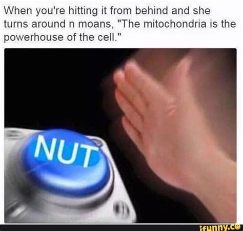 When Youre Hitting It From Behind N She Turns Around And Moans The Mitochondria Is The