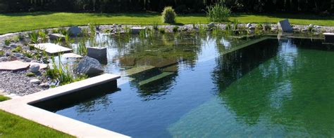 Natural Swimming Pools Diy Or Pro Building Tips Ecohome