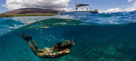 West Maui Snorkeling Tour And Catamaran Sail 45 Hours 170