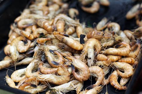 Crevettes grises Françaises