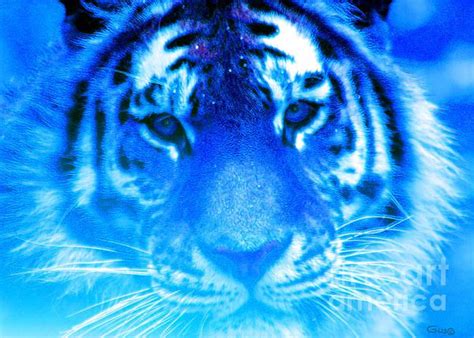 Blue Tiger By Nick Gustafson Blue Tigers Tiger Blue