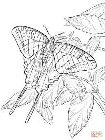 Tiger Swallowtail Butterfly Coloring Page Coloring Pages