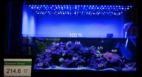 Orphek Osix & OR3 reef LED bars combo PAR readings in 4k video review