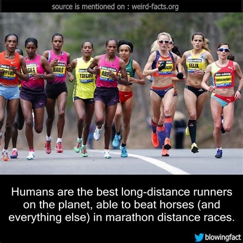Weird Facts — Humans Are The Best Long Distance Runners On The